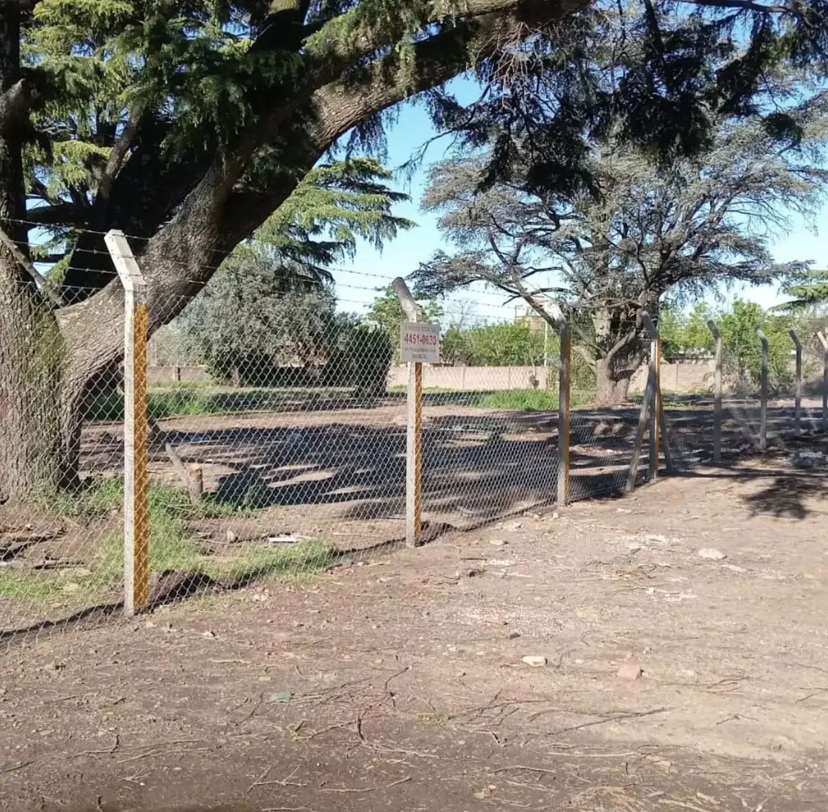 Alambrado olímpico terminado con postes de hormigón curvados y tres hilos de alambre de púa tendidos sobre la curva, bajo árboles grandes